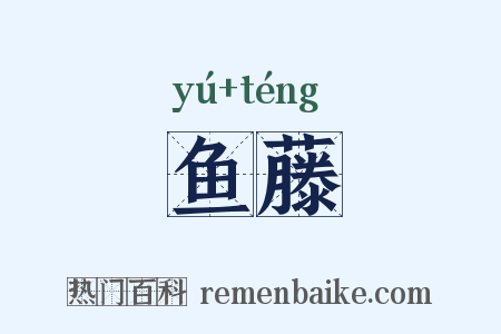 鱼藤是什么意思的图片